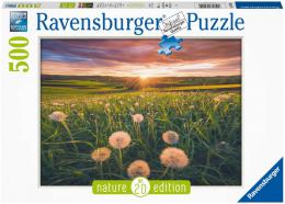 RAVENSBURGER Puzzle Pampeliky 500 dlk 49x36cm skldaka