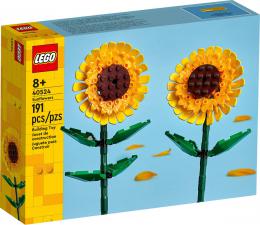 LEGO CREATOR Slunenice 2ks 40524 STAVEBNICE - zvtit obrzek