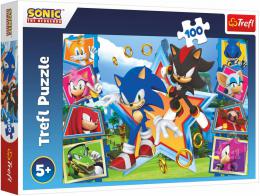 TREFL PUZZLE Jeek Sonic (Sonic the Hedgehog) 41x27cm 100 dlk skldaka - zvtit obrzek