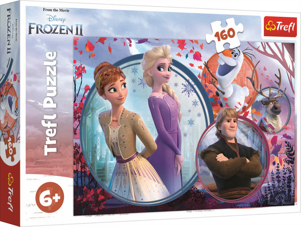 Fotografie Puzzle Ledové království II/Frozen II 160 dílků