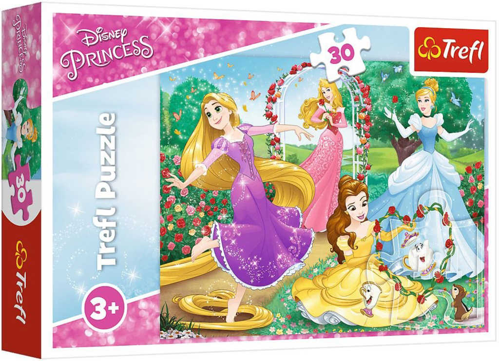 Fotografie Puzzle Princezny Disney 27x20cm 30 dílků v krabičce 21x14x4cm