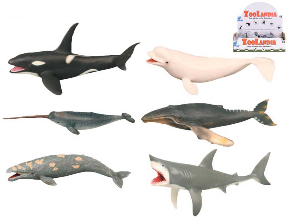 Fotografie Zvířata mořská 18-26cm plastové figurky zvířátka 6 druhů