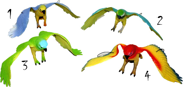 Fotografie Papoušek barevny pískající gumový (ptáček na zavěšení na gumě)