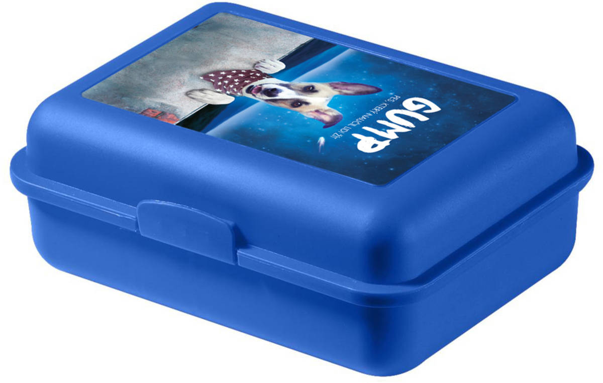 Box svačinový Gump dětská svačinová kazeta modrá antibakteriální