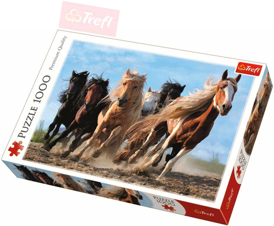 Fotografie Puzzle Cválající koně 1000 dílků v krabici 27 x 40 x 6 cm
