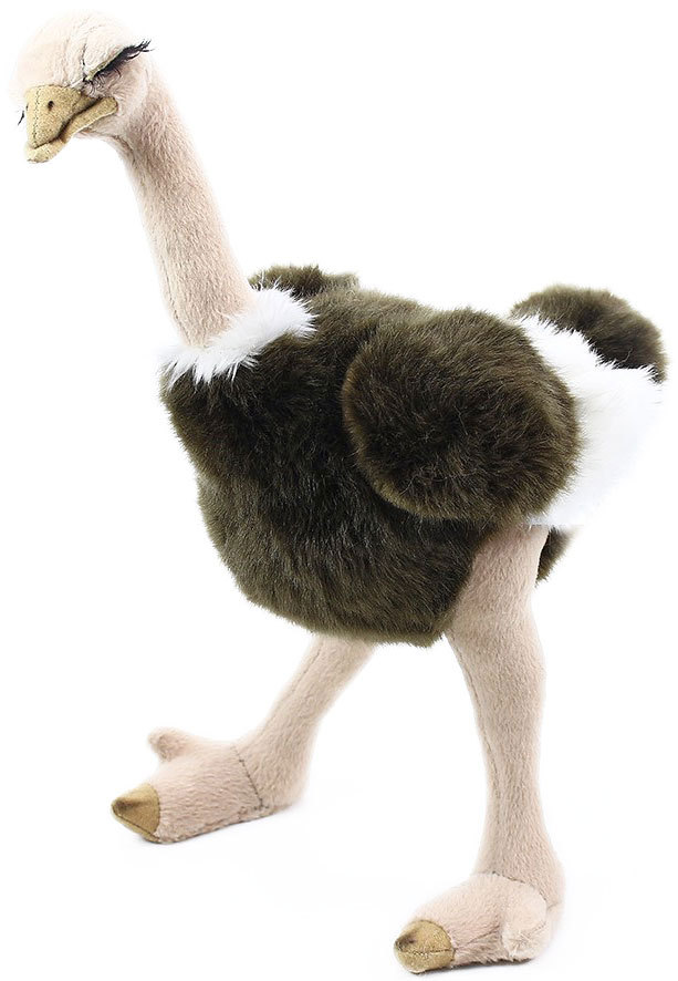 Fotografie Plyšový pštros emu 32 cm