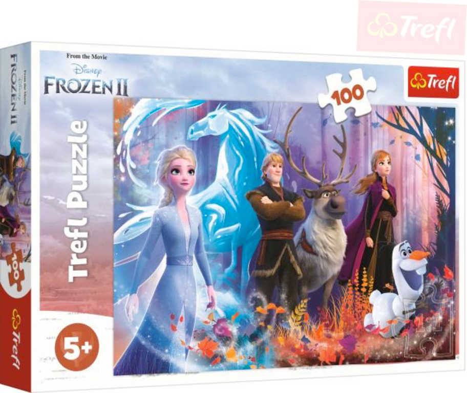 Fotografie Puzzle Ledové království II/Frozen II 100 dílků 41x27,5cm v krabici 29x19x4cm