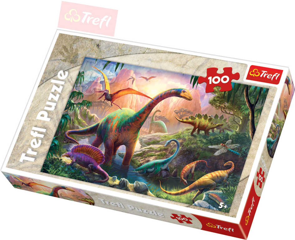 Fotografie Puzzle Dinosauři 100 dílků 41x27,5cm v krabici 29x20x4cm